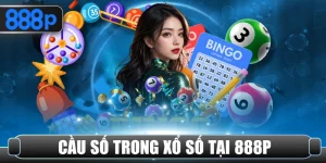Cầu số trong xổ số