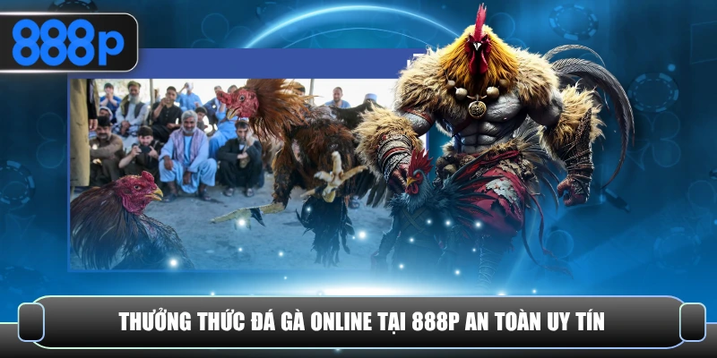 Thưởng thức đá gà online tại 888P an toàn uy tín