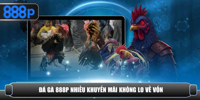 Đá gà 888P nhiều khuyến mãi không lo về vốn