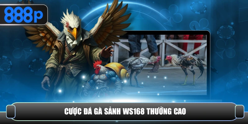 Cược đá gà sảnh WS168 thưởng cao