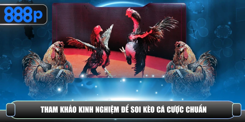Học hỏi kinh nghiệm giúp soi kèo và đặt cược chuẩn xác