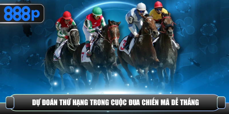 Dự đoán thứ hạng trong cuộc đua chiến mã dễ thắng