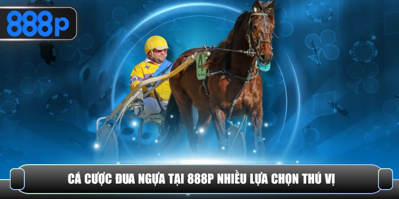 Cá cược đua ngựa tại 888P nhiều lựa chọn thú vị