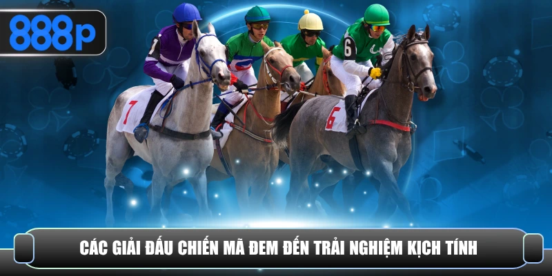 Các giải đấu chiến mã đem đến trải nghiệm kịch tính