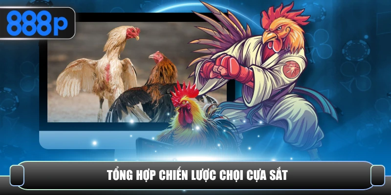 Tổng hợp chiến lược chọi cựa sắt