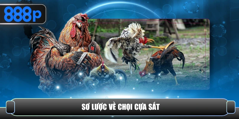 Sơ lược về chọi cựa sắt